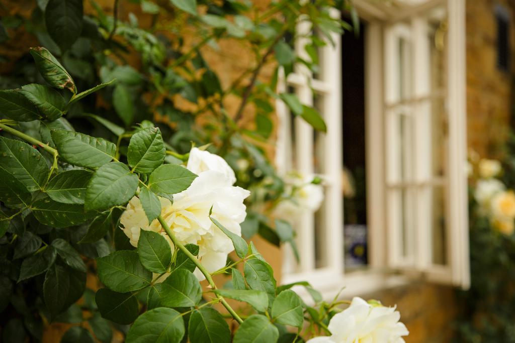 White Horse Inn & Restaurant Stoke Albany Экстерьер фото